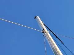 Archambault Surprise