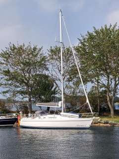 Marine Projects Moody 336 Segelyacht