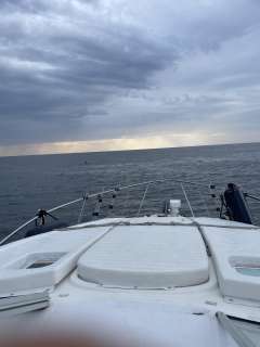 Bayliner 285 SB
