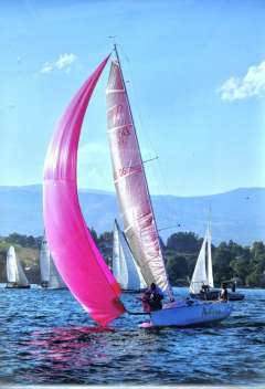 Dolphin 81 DOD 24.5 Barca da regata