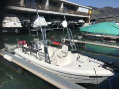 Quicksilver 500 Fish
