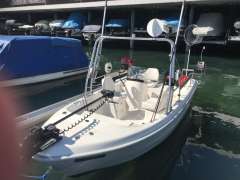 Quicksilver 500 Fish