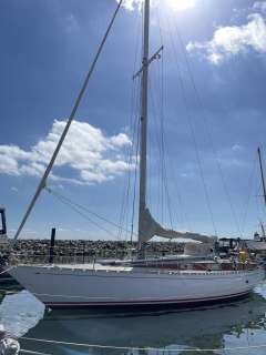 Wilenus 38