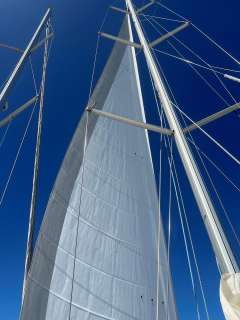 Salona 44 Performance (2016)