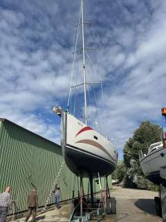 Salona 44 Performance (2016)