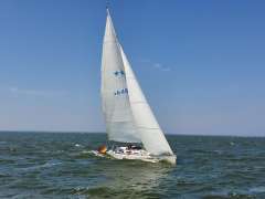 Dynamic 35 RC