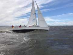 Dynamic 35 RC