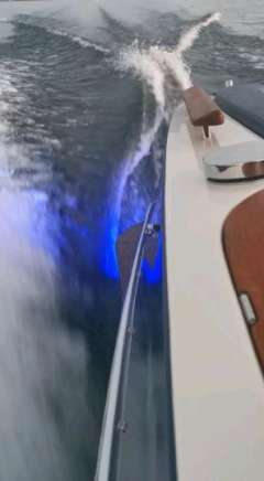 Quicksilver Classic20