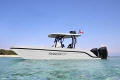 Swiss Cat 26 Center Console