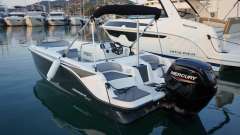 Bayliner Element M17 und Trailer