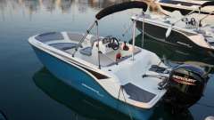 Bayliner Element M15 und Trailer