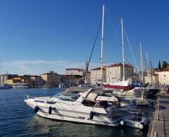 Joda Monaco 310