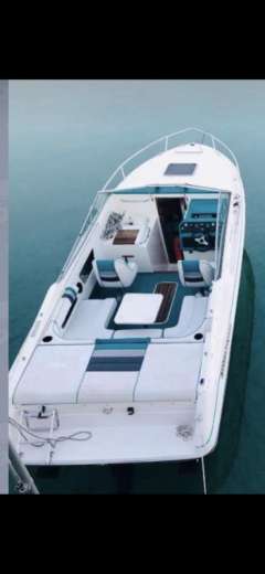 Sea Ray 220 OV