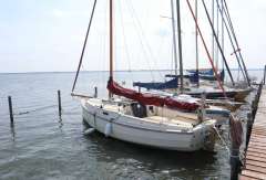 Cornish Crabbers Shrimper 21