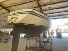 Bianca APHRODITE 101