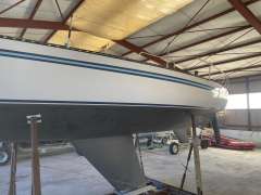 Bianca APHRODITE 101