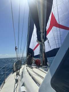 Wauquiez Centurion 42/45