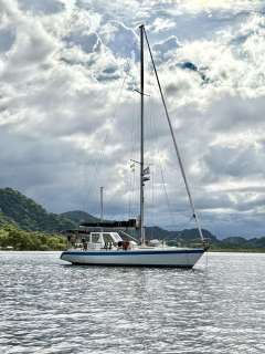 Wauquiez Centurion 42/45