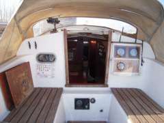 Neptun 31