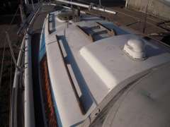 Neptun 31