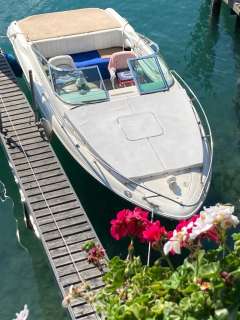Sea Ray 230 OSE Sportboot