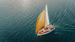 Sunbeam 22.1 Daysailer