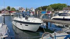 Sealine SC35
