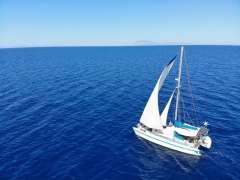 Prout Snowgoose 37 Elite