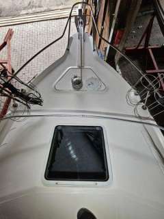 Sea Ray 250 Express Cruiser