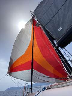 Quorning Dragonfly 35 Ultimate