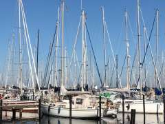 Hallberg-Rassy Rasmus 35