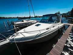 Wellcraft Martinique 2600