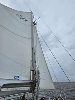 de Kloet Fellowship 28