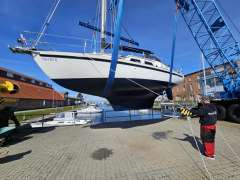 de Kloet Fellowship 28