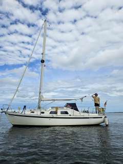 de Kloet Fellowship 28