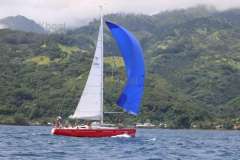 DEHLER 44 SQ