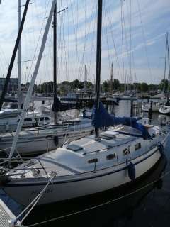 de Kloet Fellowship 33