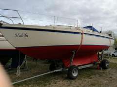 de Kloet Fellowship 33
