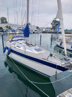 Wauquiez Gladiateur 33