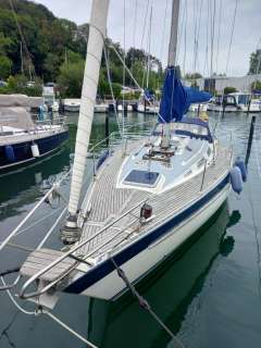 Wauquiez Gladiateur 33