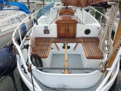 Danish Rose 31