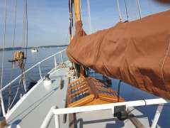 Danish Rose 31