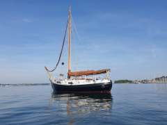 Danish Rose 31