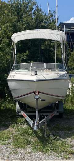 Stingray ZPX 537