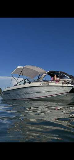 Stingray ZPX 537