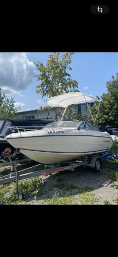 Stingray ZPX 537
