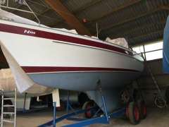 Najad 320