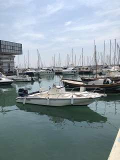 Boston Whaler Dauntless 220