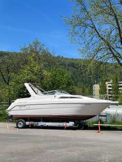 Wellcraft Excel 26se