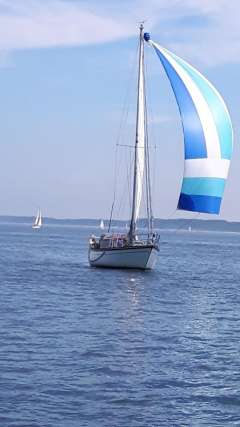 Baltika 10,40 m Decksalon Segelyacht